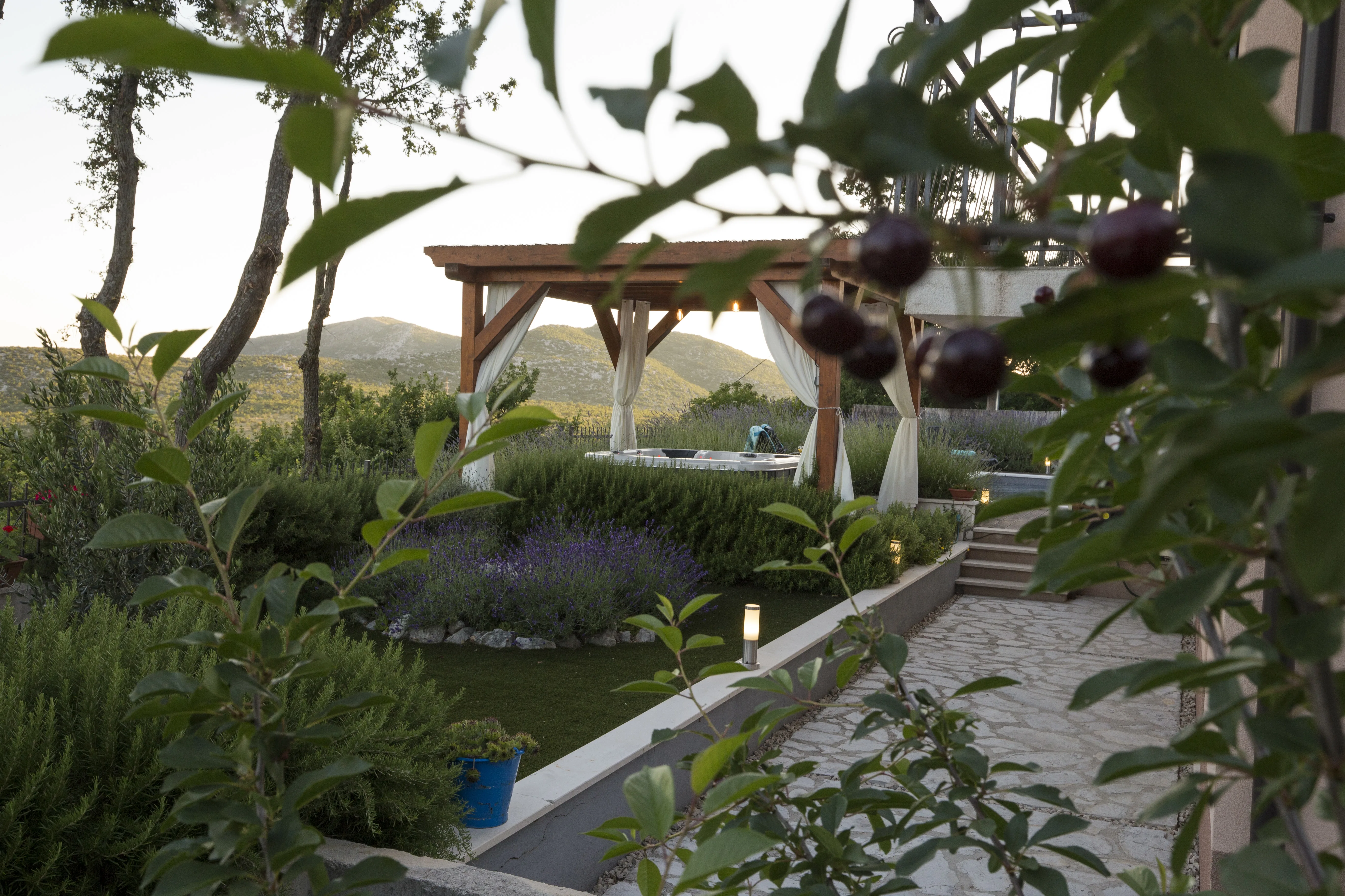 Garden path at dusk through fruit trees